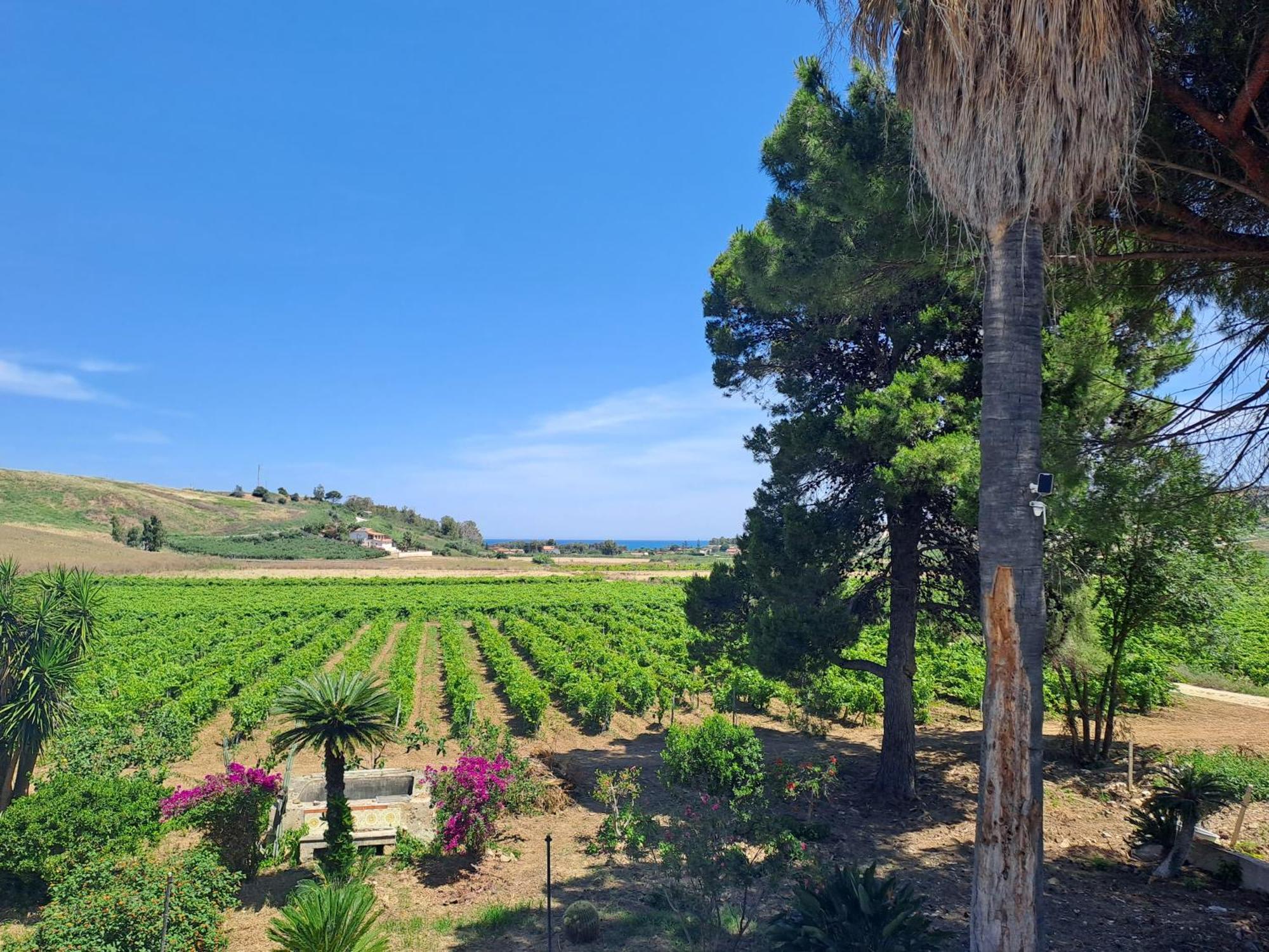 Fattoria Manostalla Villa Chiarelli Балестрате Екстериор снимка